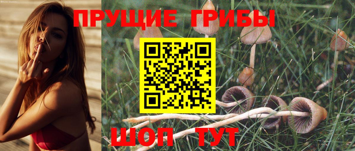 Галлюциногенные грибы Magic Shrooms Чехов
